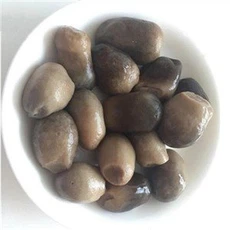 Nấm rơm đóng hộp chưa bóc vỏ